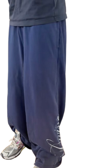 navy divine sweatpants